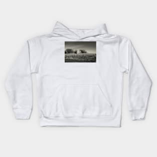 Dilapidated Barn Kids Hoodie